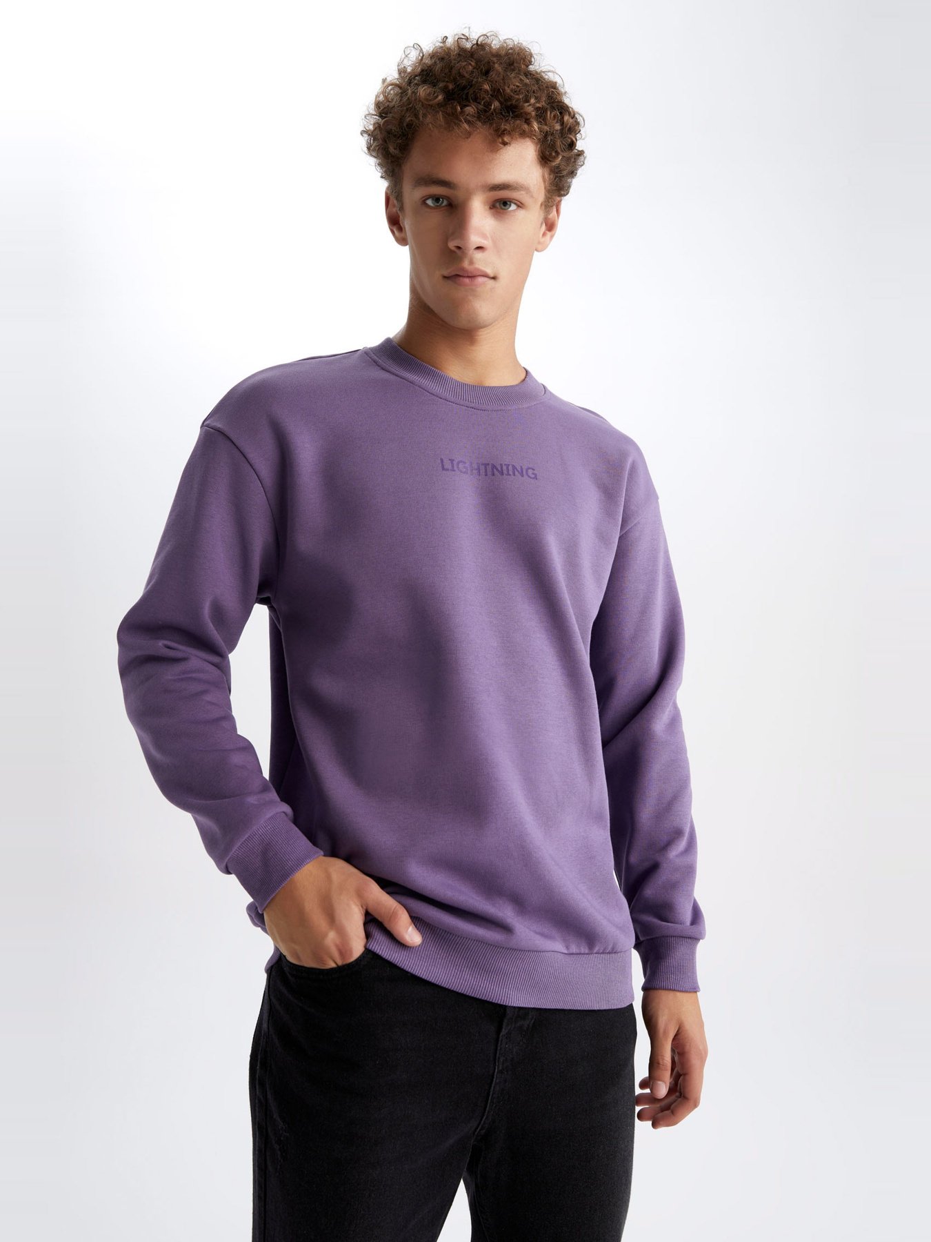 Свитшот DeFacto модель V5306AZ-PN407 Фото