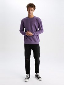 Свитшот DeFacto модель V5306AZ-PN407 Фото