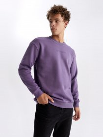 Свитшот DeFacto модель V5306AZ-PN407 Фото