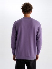 Свитшот DeFacto модель V5306AZ-PN407 Фото