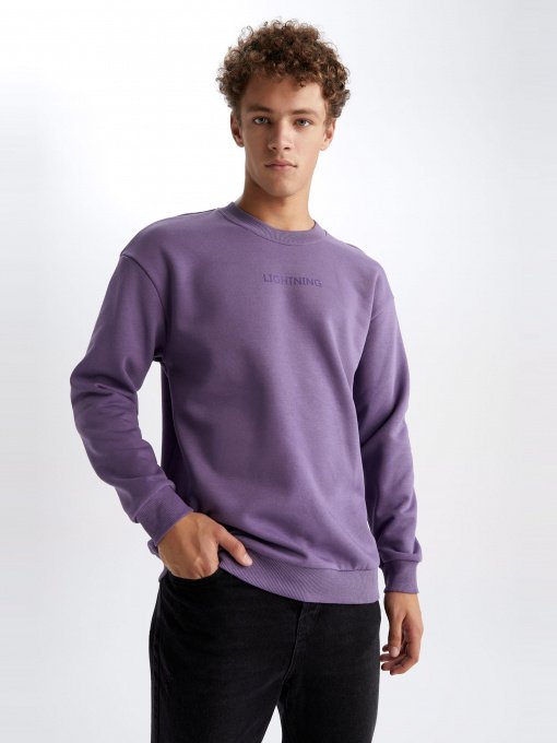 Світшот DeFacto модель V5306AZ-PN407 Фото