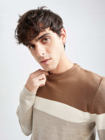 Джемпер DeFacto модель W6631AZ-BN106 Фото