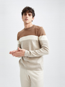 Джемпер DeFacto модель W6631AZ-BN106 Фото