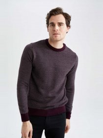 Джемпер DeFacto модель X5159AZ-PR102 Фото