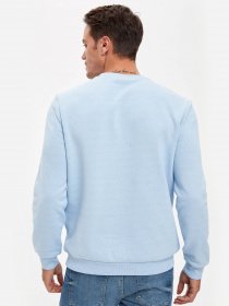 Світшот DeFacto модель R6410AZ-BE679 Фото