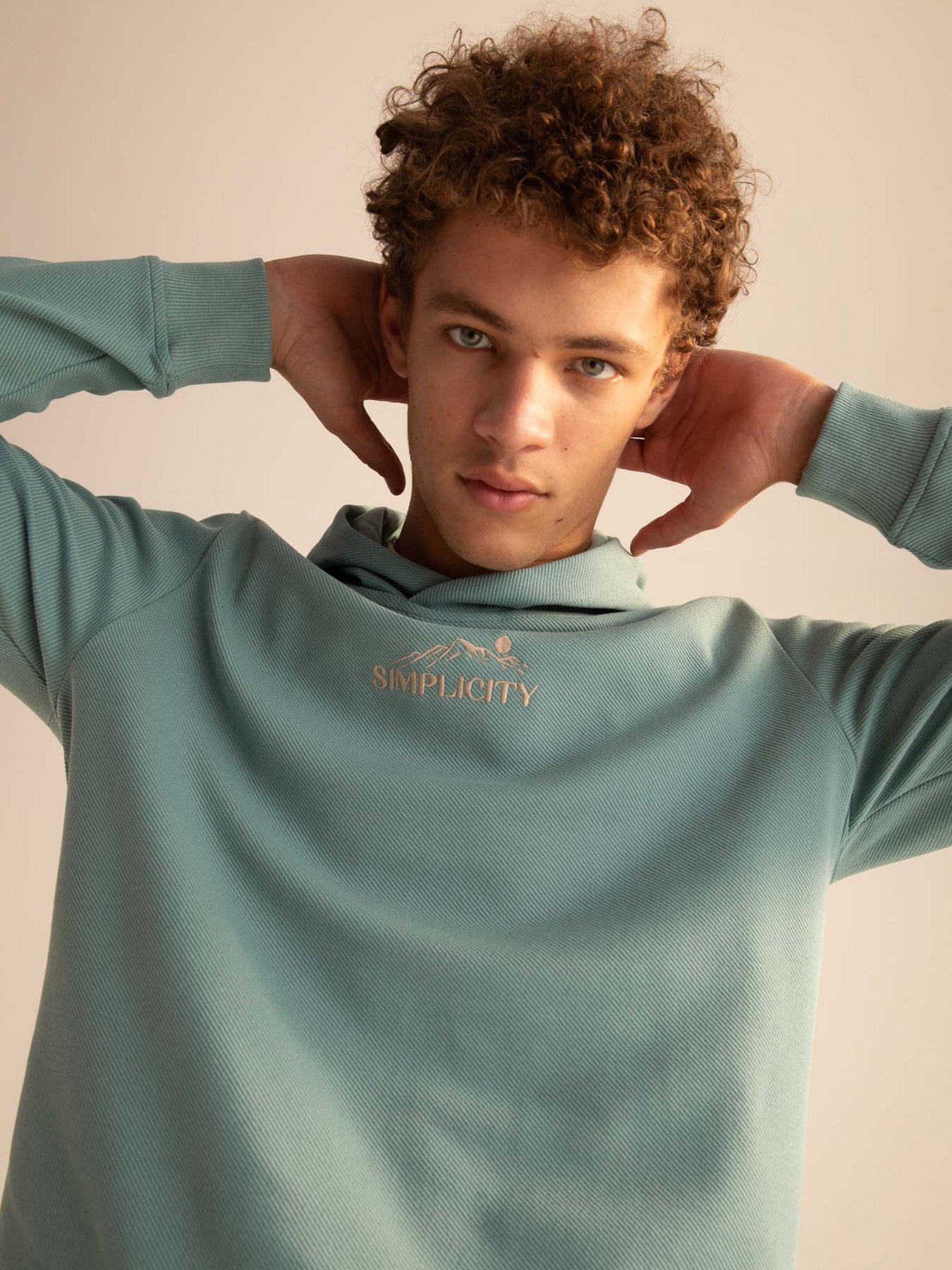 Худі DeFacto модель X8922AZ-TR217 Фото