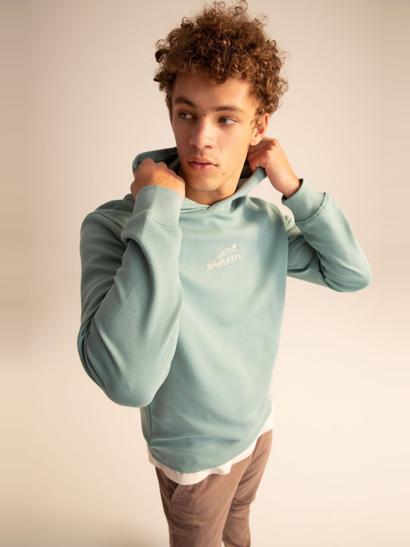 Худи DeFacto модель X8922AZ-TR217 Фото