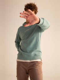 Худи DeFacto модель X8922AZ-TR217 Фото