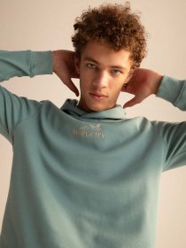 Худи DeFacto модель X8922AZ-TR217 Фото