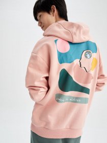 Худи DeFacto модель X9724AZ-OG127 Фото