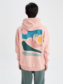 Худи DeFacto модель X9724AZ-OG127 Фото