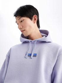 Худи DeFacto модель X9725AZ-PR215 Фото