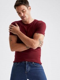 Футболки и поло DeFacto модель L4885AZ-BR248 Фото