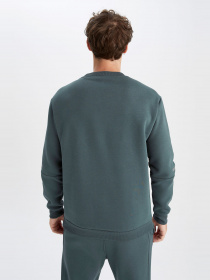 Свитшот DeFacto модель Y4531AZ-GN1019 Фото