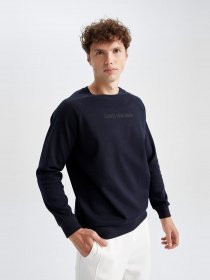 Свитшот DeFacto модель Y9501AZ-NV123 Фото