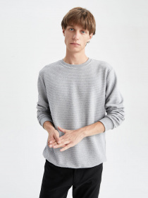 Свитшот DeFacto модель S8194AZ-GR210 Фото