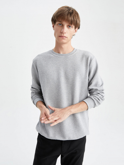 Світшот DeFacto модель S8194AZ-GR210 Фото