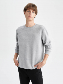 Свитшот DeFacto модель S8194AZ-GR210 Фото