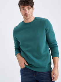 Світшот DeFacto модель T3777AZ-GN872 Фото