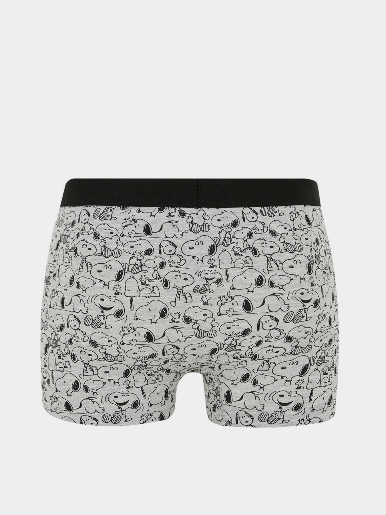 Набор трусов DeFacto модель Y3186AZ-BE43 Фото