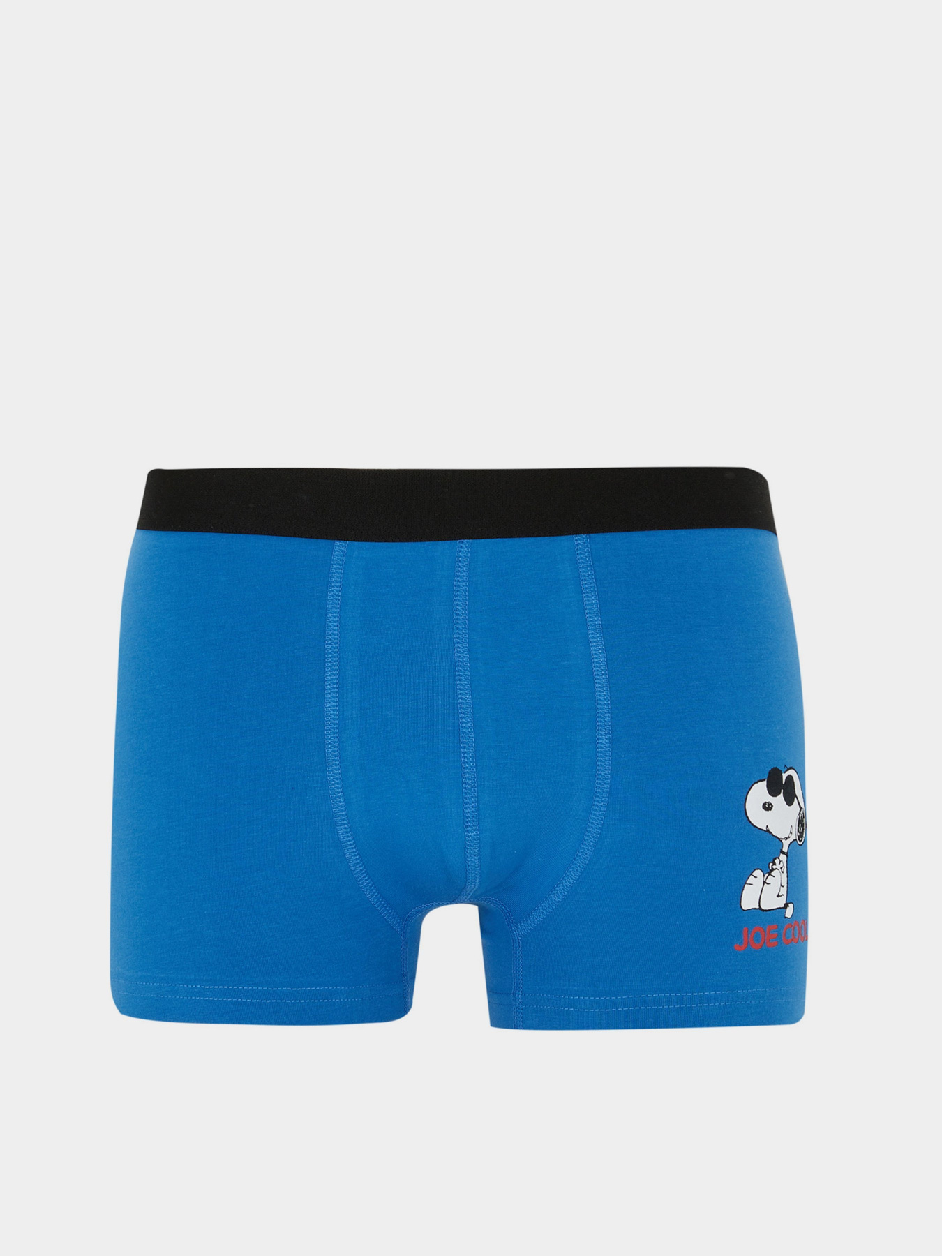 Набор трусов DeFacto модель Y3186AZ-BE43 Фото