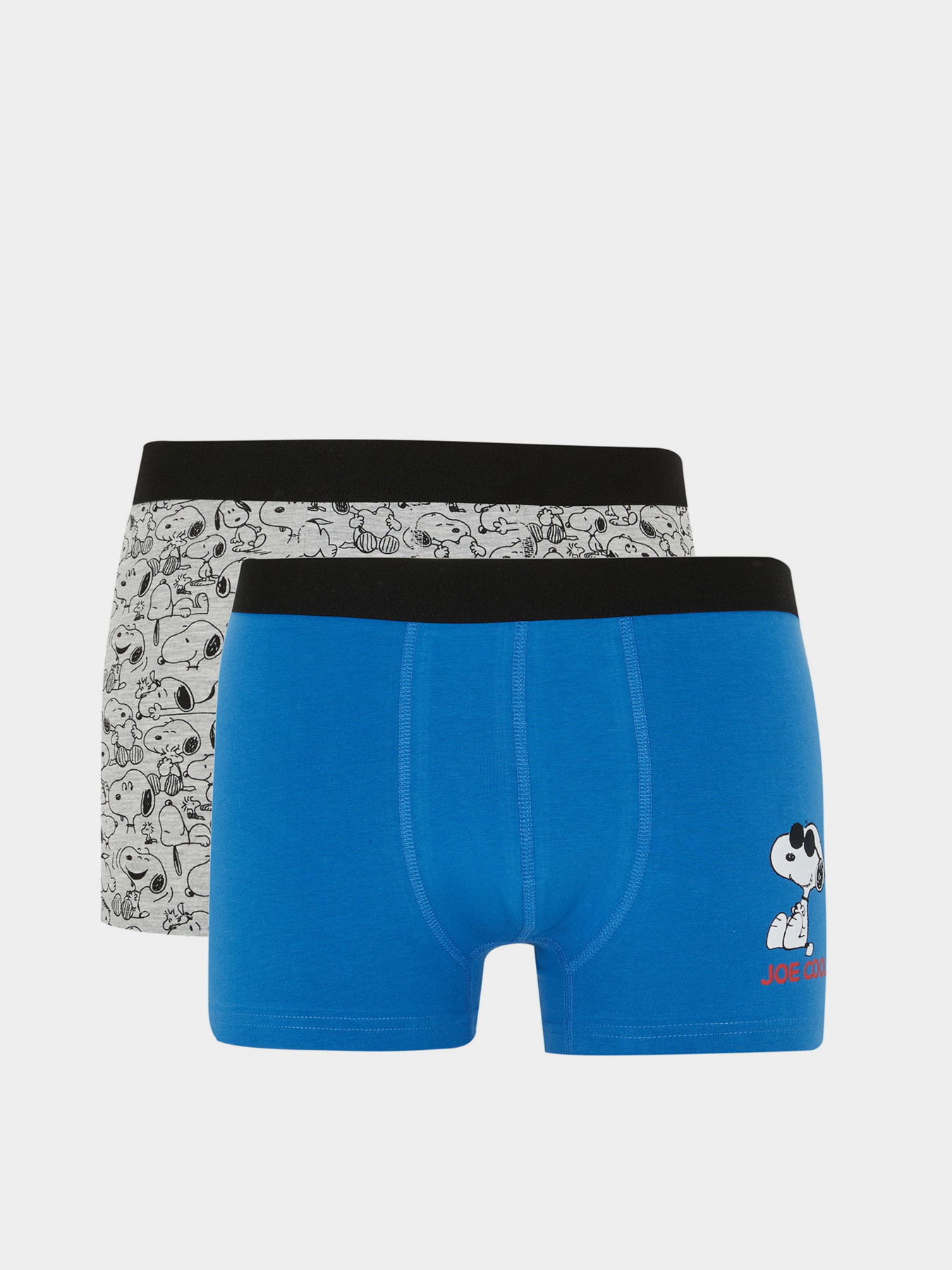 Набор трусов DeFacto модель Y3186AZ-BE43 Фото