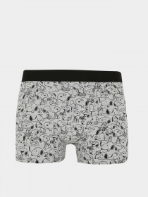 Набор трусов DeFacto модель Y3186AZ-BE43 Фото