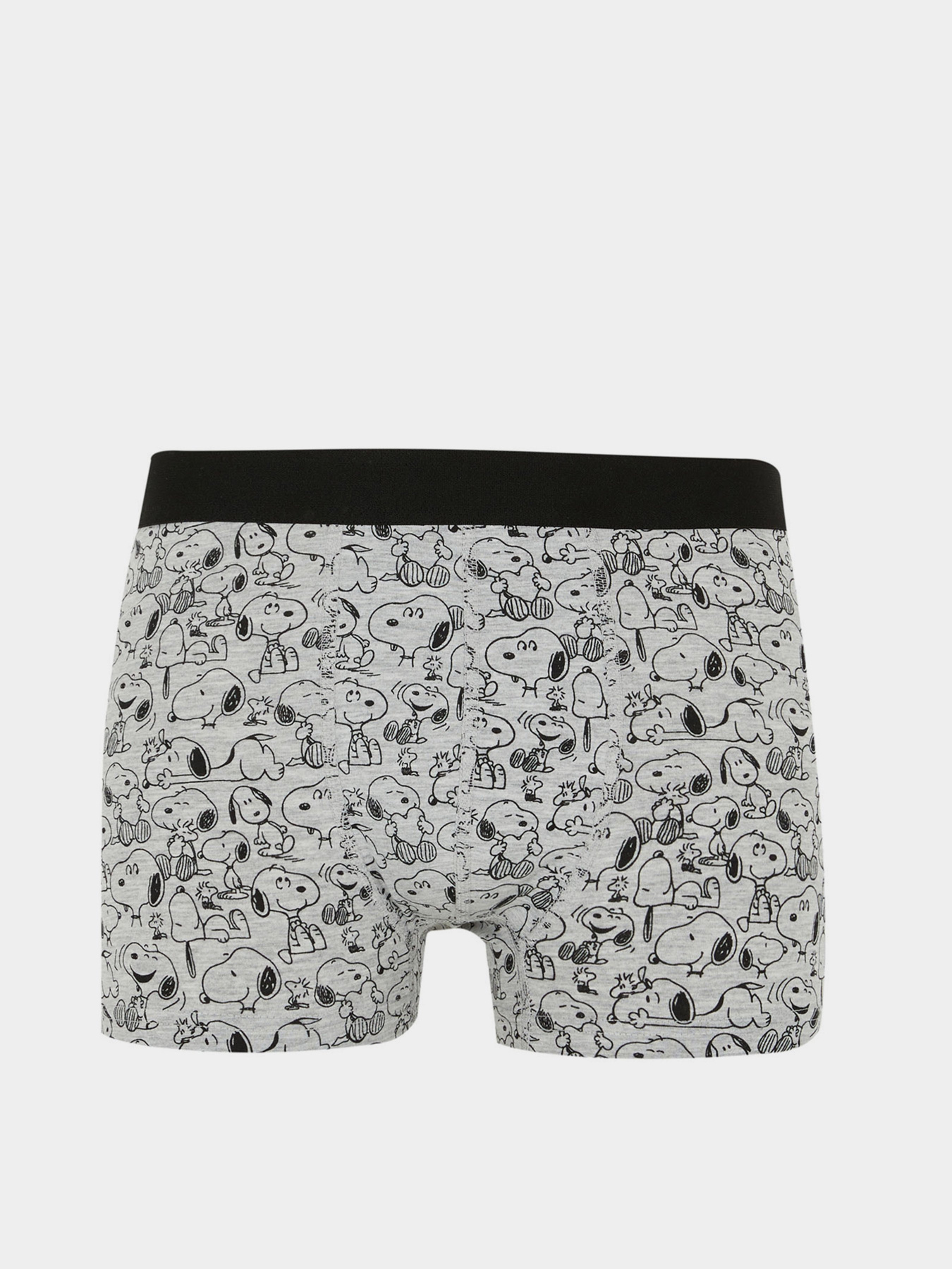 Набір трусів DeFacto модель Y3186AZ-BE43 Фото