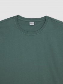 Футболка DeFacto модель T7037AZ-GN1067 Фото