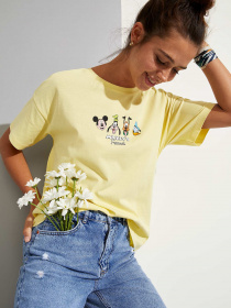 Футболки і поло DeFacto модель U8281AZ-YL271 Фото