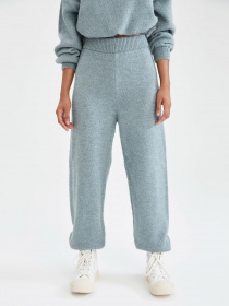 Спортивні штани DeFacto модель V1795AZ-TR436 Фото