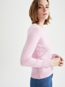 Джемпер DeFacto модель F7091AZ-PR66 Фото