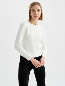 Джемпер DeFacto модель F7091AZ-ER99 Фото