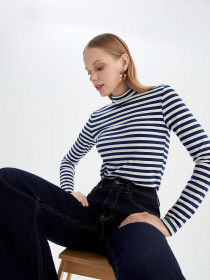 Водолазка DeFacto модель W1355AZ-NV42 Водолазка DeFacto модель W1355AZ-NV42 Фото