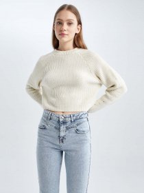 Джемпер DeFacto модель L2567AZ-ER103 Фото