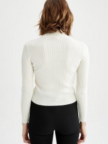 Водолазка DeFacto модель T0271AZ-ER99 Фото