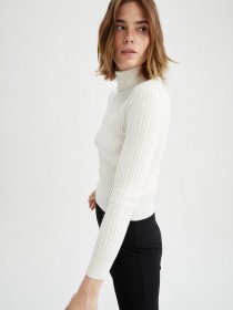 Водолазка DeFacto модель T0271AZ-ER99 Фото