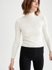 Водолазка DeFacto модель T0271AZ-ER99 Фото