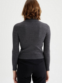 Водолазка DeFacto модель T0271AZ-AR4 Фото