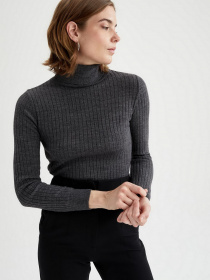 Гольф DeFacto модель T0271AZ-AR4 Фото