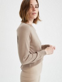 Джемпер DeFacto модель I6913AZ-BG184 Фото