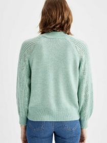 Водолазка DeFacto модель S5466AZ-TR349 Фото