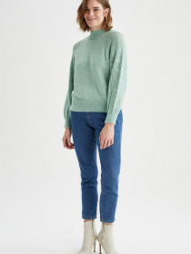 Водолазка DeFacto модель S5466AZ-TR349 Фото