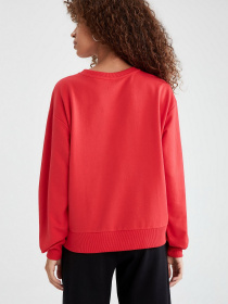 Свитшот DeFacto модель V4540AZ-RD286 Фото