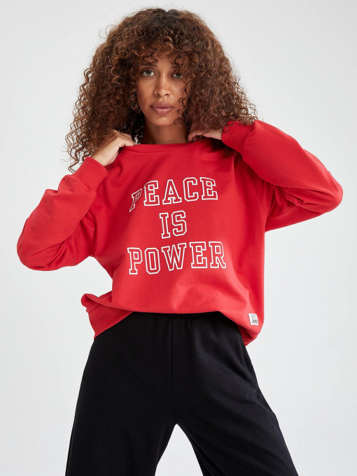 Свитшот DeFacto модель V4540AZ-RD286 Фото