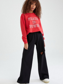 Свитшот DeFacto модель V4540AZ-RD286 Фото