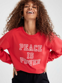 Свитшот DeFacto модель V4540AZ-RD286 Фото