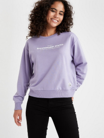 Світшот DeFacto модель V4542AZ-PR315 Фото