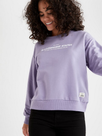 Світшот DeFacto модель V4542AZ-PR315 Фото