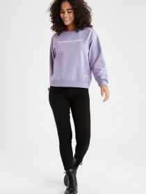 Свитшот DeFacto модель V4542AZ-PR315 Фото